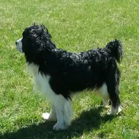 processed/77eaa6c9-4e71-4b75-86f0-d4afdb99edc2/facility/7b08c3ee-5ca3-4f24-96ee-959a476361ba