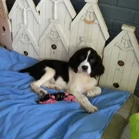 processed/77eaa6c9-4e71-4b75-86f0-d4afdb99edc2/facility/a7cfdda4-c016-4219-a74b-e2a2c8acd367