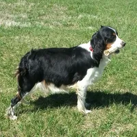 processed/77eaa6c9-4e71-4b75-86f0-d4afdb99edc2/facility/b73852b4-4949-4df5-bccc-b337963bdefb