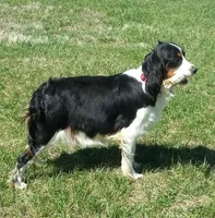 processed/77eaa6c9-4e71-4b75-86f0-d4afdb99edc2/facility/b73852b4-4949-4df5-bccc-b337963bdefb