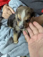 processed/77eaa6c9-4e71-4b75-86f0-d4afdb99edc2/listing/df09b692-bee1-466b-a2c2-a88ac7034e82/74993a01-e79a-499b-8122-52f46a812096