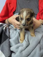 processed/77eaa6c9-4e71-4b75-86f0-d4afdb99edc2/listing/df09b692-bee1-466b-a2c2-a88ac7034e82/b0c1ede4-dbef-4b1a-9a10-014585eb801b