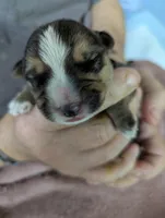 processed/77eaa6c9-4e71-4b75-86f0-d4afdb99edc2/listing/df09b692-bee1-466b-a2c2-a88ac7034e82/cd483b1c-f114-4448-b7fc-a2f10710318d