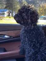 processed/77fa3429-1f5b-42dc-a58e-93ca01d6e6e3/listing/c674232a-c847-431d-bb97-52d23bcf2278/123cc1af-682e-4b08-a881-5bb03d1b8efd