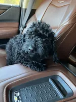 processed/77fa3429-1f5b-42dc-a58e-93ca01d6e6e3/listing/c674232a-c847-431d-bb97-52d23bcf2278/20055a6e-cb73-44d8-8456-845b4759df94