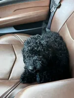 processed/77fa3429-1f5b-42dc-a58e-93ca01d6e6e3/listing/c674232a-c847-431d-bb97-52d23bcf2278/8aafbe3d-b631-4997-b485-4094b3a0abf5