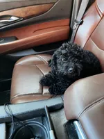 processed/77fa3429-1f5b-42dc-a58e-93ca01d6e6e3/listing/c674232a-c847-431d-bb97-52d23bcf2278/af657ca3-597f-4bff-a65c-77728cbf9b21