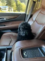 processed/77fa3429-1f5b-42dc-a58e-93ca01d6e6e3/listing/c674232a-c847-431d-bb97-52d23bcf2278/d7f9be5a-11ce-4c5d-9799-f5505082f3e3