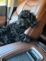 processed/77fa3429-1f5b-42dc-a58e-93ca01d6e6e3/listing/c674232a-c847-431d-bb97-52d23bcf2278/e19dd1e4-fe2d-4899-abc9-9274a2a45b53