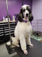 Facility photo