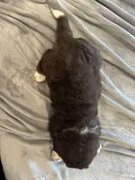 processed/7807c2e7-b91a-420e-a7e4-ca2f66551f30/facility/54363cfc-aee8-404e-8a92-b335d22c8968