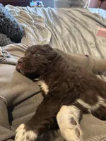 processed/7807c2e7-b91a-420e-a7e4-ca2f66551f30/facility/951b5cf0-7141-4b1e-bb05-22e9ad6d8d48