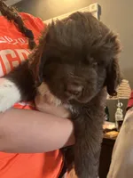 processed/7807c2e7-b91a-420e-a7e4-ca2f66551f30/facility/db530157-2370-4a93-8b60-99443a9659bc