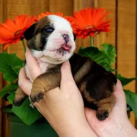 processed/78113c85-b66a-4247-8dc6-2a398b4b2b02/facility/5764a425-7776-48ba-afda-745da28688c6