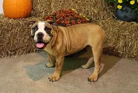 processed/78113c85-b66a-4247-8dc6-2a398b4b2b02/listing/2fc72978-c90c-47aa-889c-28bb43b7b6fe/26d9c5a1-2e42-49f5-b4a9-9f407de220a4