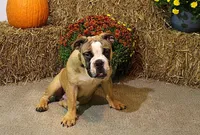 processed/78113c85-b66a-4247-8dc6-2a398b4b2b02/listing/2fc72978-c90c-47aa-889c-28bb43b7b6fe/d4eae9f2-3120-4c6f-8934-70622152ab33