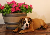 processed/78113c85-b66a-4247-8dc6-2a398b4b2b02/listing/6b70a1ee-5475-47f0-b511-8c6480c6e35b/7479971a-3b14-48e9-ac7f-447e44864634