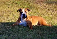 processed/78113c85-b66a-4247-8dc6-2a398b4b2b02/listing/6b70a1ee-5475-47f0-b511-8c6480c6e35b/79b99da6-5575-43f6-9117-17ffb2279b05