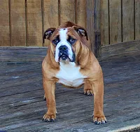 processed/78113c85-b66a-4247-8dc6-2a398b4b2b02/listing/6b70a1ee-5475-47f0-b511-8c6480c6e35b/a27eb756-0906-4688-9655-1b7fc602701c