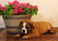 processed/78113c85-b66a-4247-8dc6-2a398b4b2b02/listing/6ee898ae-b59f-47f4-bf6e-2c2b237cfd44/3e1392f8-c50a-4041-8239-250dfe7887e2