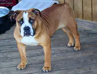 processed/78113c85-b66a-4247-8dc6-2a398b4b2b02/listing/6ee898ae-b59f-47f4-bf6e-2c2b237cfd44/640f0b17-e2e6-45fa-95ee-e1e13e5ca6c6