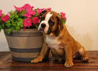 processed/78113c85-b66a-4247-8dc6-2a398b4b2b02/listing/6ee898ae-b59f-47f4-bf6e-2c2b237cfd44/6486b5f0-6aa9-4ff7-9494-918f2ddb1bb4