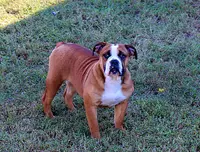 processed/78113c85-b66a-4247-8dc6-2a398b4b2b02/listing/6ee898ae-b59f-47f4-bf6e-2c2b237cfd44/93bef82b-5a73-490a-808a-8c181ed647c7