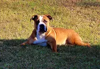 processed/78113c85-b66a-4247-8dc6-2a398b4b2b02/listing/6ee898ae-b59f-47f4-bf6e-2c2b237cfd44/dd1c86f0-9d3e-4e0a-b2b2-77d09469773e