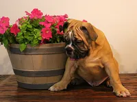 processed/78113c85-b66a-4247-8dc6-2a398b4b2b02/listing/c0fc5067-829c-47fe-8d4b-cd1dcc5c1044/1c87efc1-a87b-4cae-89a1-7b0c65111337