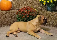 processed/78113c85-b66a-4247-8dc6-2a398b4b2b02/listing/c0fc5067-829c-47fe-8d4b-cd1dcc5c1044/68c46b4c-3dc2-4293-818b-645ae81fccea