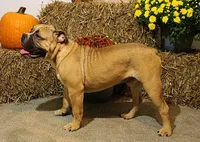 processed/78113c85-b66a-4247-8dc6-2a398b4b2b02/listing/c0fc5067-829c-47fe-8d4b-cd1dcc5c1044/de7dbc24-34a1-488b-b45a-d0ad5be8930c