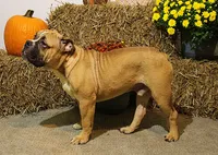 processed/78113c85-b66a-4247-8dc6-2a398b4b2b02/listing/c0fc5067-829c-47fe-8d4b-cd1dcc5c1044/e79ab0e8-32cf-44f6-95ae-413884a09ab6