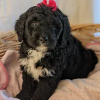 processed/7819bd7b-4a35-440f-bde0-f2c786e7b60c/facility/a889f2df-3f69-4e6e-ab6a-e2177f6bbe38