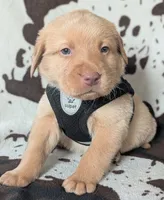 processed/7819bd7b-4a35-440f-bde0-f2c786e7b60c/listing/0fad65c9-fcd1-4909-a814-129089d3f2b2/001077ac-de29-487c-b242-4c2a2abdcf4f