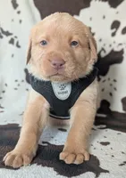 processed/7819bd7b-4a35-440f-bde0-f2c786e7b60c/listing/0fad65c9-fcd1-4909-a814-129089d3f2b2/073e8d99-72fe-46a9-864f-6cdb4c3df9ba