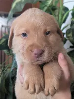 processed/7819bd7b-4a35-440f-bde0-f2c786e7b60c/listing/0fad65c9-fcd1-4909-a814-129089d3f2b2/61ee4af6-df41-41da-941f-df2cff27b980