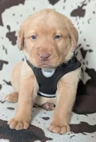 processed/7819bd7b-4a35-440f-bde0-f2c786e7b60c/listing/0fad65c9-fcd1-4909-a814-129089d3f2b2/ef16dc91-644f-4e0c-bea8-c437bfb44e7b