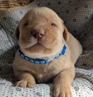 processed/7819bd7b-4a35-440f-bde0-f2c786e7b60c/listing/0fad65c9-fcd1-4909-a814-129089d3f2b2/f104485a-e72d-430d-9127-68edcd7eb1df