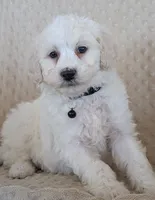 processed/7819bd7b-4a35-440f-bde0-f2c786e7b60c/listing/1430c389-31dc-4a49-96f2-80f96001aed2/69b55840-3c45-4ec0-a58e-48f045e5c901