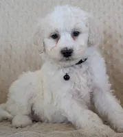 processed/7819bd7b-4a35-440f-bde0-f2c786e7b60c/listing/1430c389-31dc-4a49-96f2-80f96001aed2/d08a8ab5-e35e-4b53-9dd4-095a80fedf53