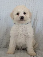 processed/7819bd7b-4a35-440f-bde0-f2c786e7b60c/listing/146ecb0e-3a36-434e-afa6-54db99f66e99/06fd8901-6f38-493e-abe9-ea93c6e00264