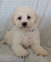 processed/7819bd7b-4a35-440f-bde0-f2c786e7b60c/listing/146ecb0e-3a36-434e-afa6-54db99f66e99/c180899f-2c84-47ef-be66-41032dea8035