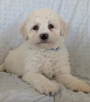 processed/7819bd7b-4a35-440f-bde0-f2c786e7b60c/listing/146ecb0e-3a36-434e-afa6-54db99f66e99/c62a1dcf-8636-40ec-b3ca-84dde0095c8b