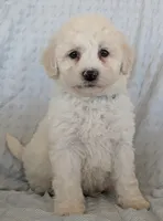 processed/7819bd7b-4a35-440f-bde0-f2c786e7b60c/listing/146ecb0e-3a36-434e-afa6-54db99f66e99/dfccbc44-debd-416d-af68-4d6e127bc6d4