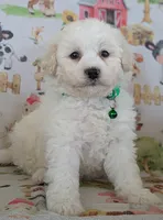 processed/7819bd7b-4a35-440f-bde0-f2c786e7b60c/listing/3a1de9ea-775e-4c7a-9390-6f21ceb4f286/6ce76a18-7b6e-405d-8bad-d1c54ab5096b