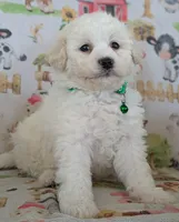 processed/7819bd7b-4a35-440f-bde0-f2c786e7b60c/listing/3a1de9ea-775e-4c7a-9390-6f21ceb4f286/9041698a-7ef6-42b1-b96f-73d120785472