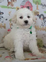 processed/7819bd7b-4a35-440f-bde0-f2c786e7b60c/listing/3a1de9ea-775e-4c7a-9390-6f21ceb4f286/aa8fae0b-a874-49f1-a7b2-6bb3a400ec9b