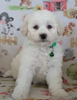 processed/7819bd7b-4a35-440f-bde0-f2c786e7b60c/listing/3a1de9ea-775e-4c7a-9390-6f21ceb4f286/d1f00504-5f6e-43ae-b613-71aa7a2f4463