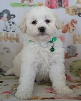 processed/7819bd7b-4a35-440f-bde0-f2c786e7b60c/listing/3a1de9ea-775e-4c7a-9390-6f21ceb4f286/e281eb3c-06d8-475a-bd20-cee686b83869