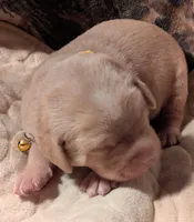 processed/7819bd7b-4a35-440f-bde0-f2c786e7b60c/listing/712747cd-ecc9-4c3a-8a44-b0e90d55bdb0/119a8171-176a-46b7-8b35-b4dfb8d65cad